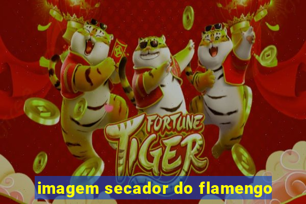 imagem secador do flamengo